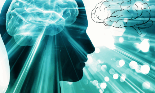 Untitled design (11)